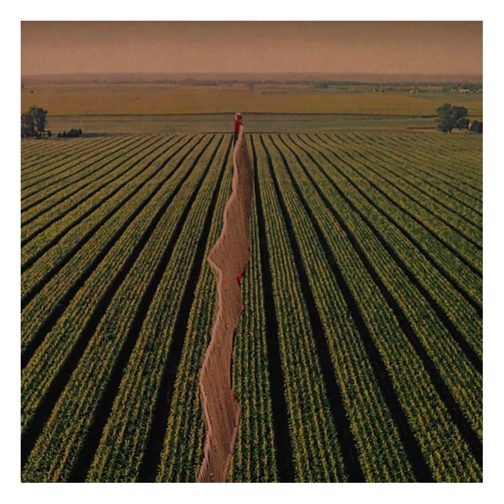 Possible Humans Everybody Split