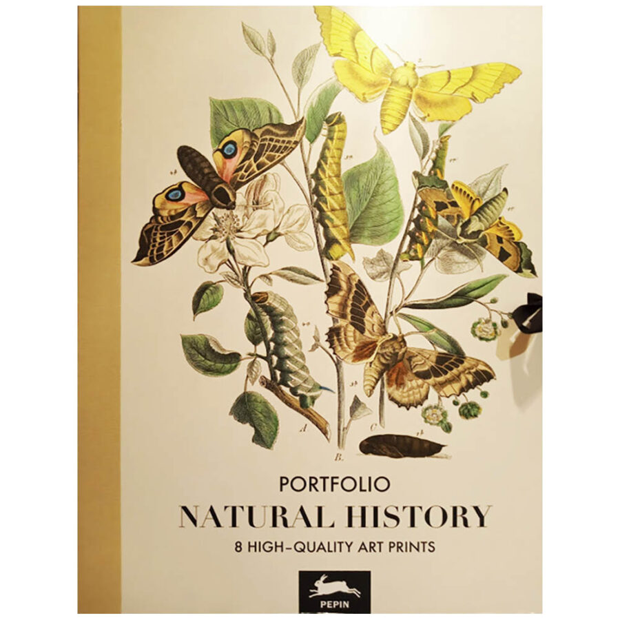 Portafolios Carpeta Natural History