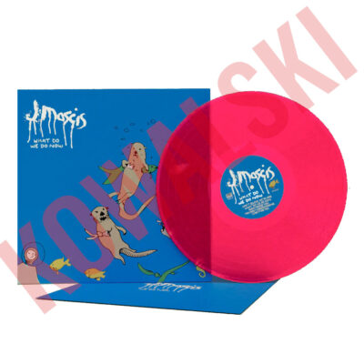 J Mascis What Do We Do Now - Imagen 2