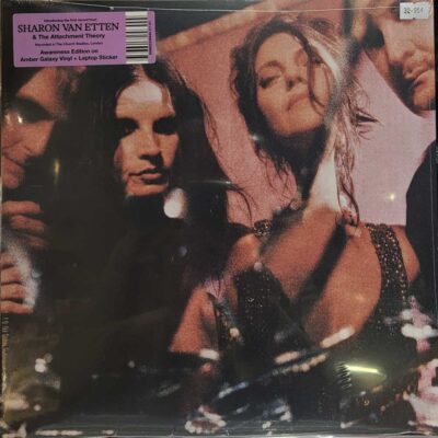 Sharon Van Etten & The Attachment Theory